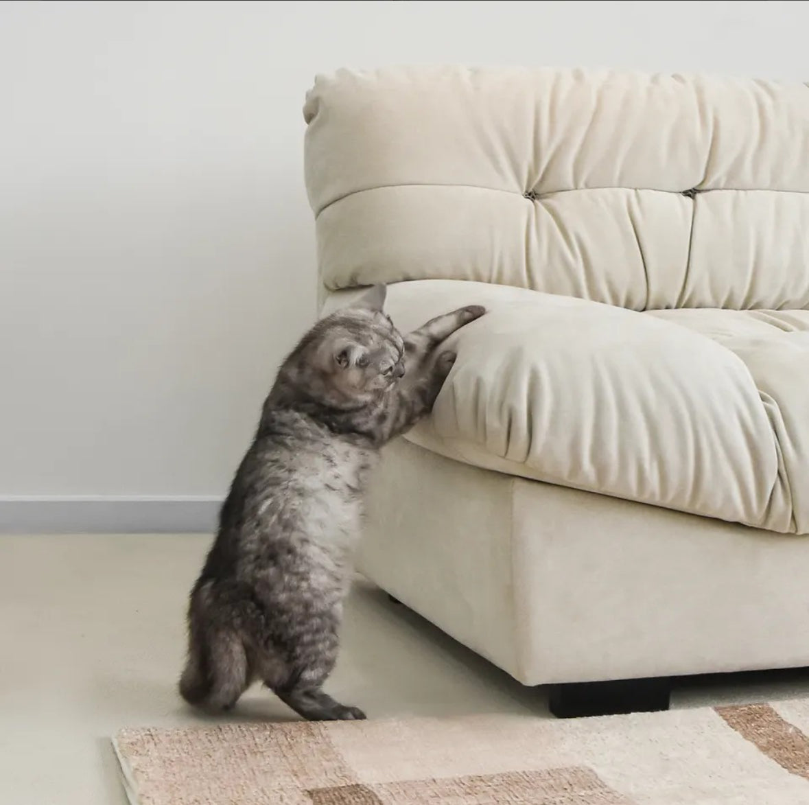 Colivhã Luxury Cloud 3 Seater Sofa